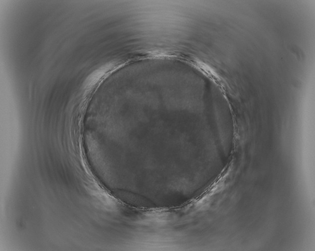 X0000111680097200908071433