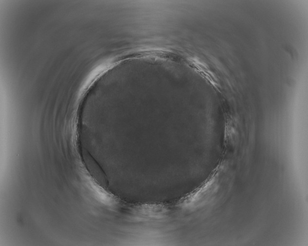 X0000111680101200908071433