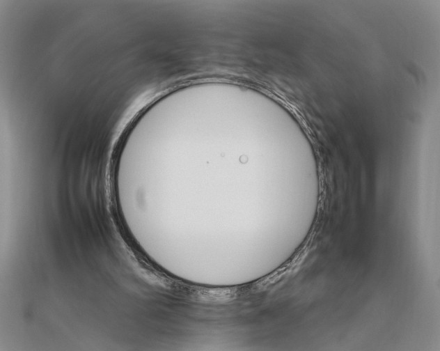 X0000111680102200908071433