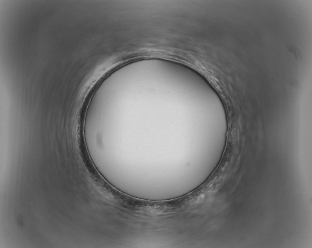 X0000111680103200908071433