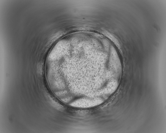 X0000111680105200908071433