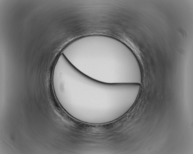 X0000111680107200908071433