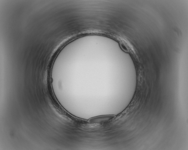 X0000111680108200908071433