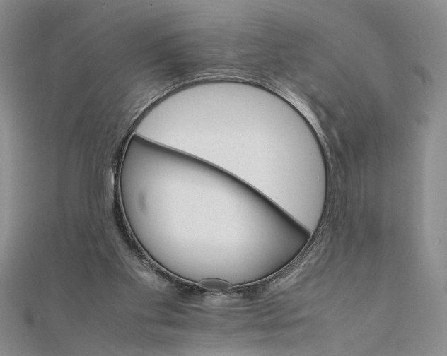 X0000111680109200908071433