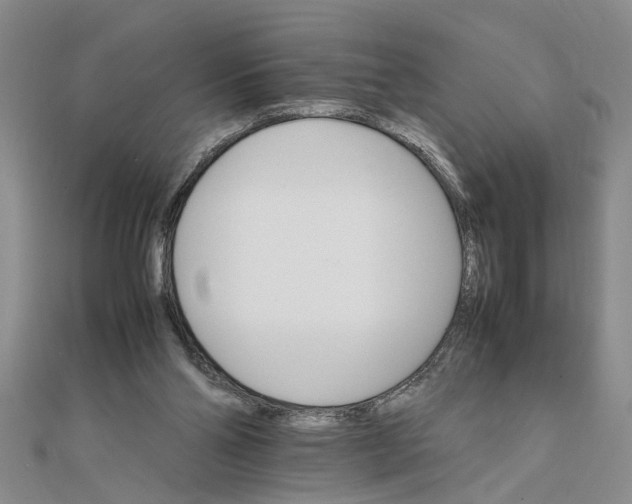 X0000111680110200908071433