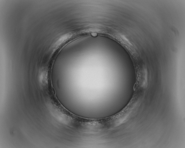 X0000111680112200908071433