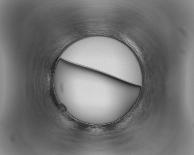 X0000111680113200908071433