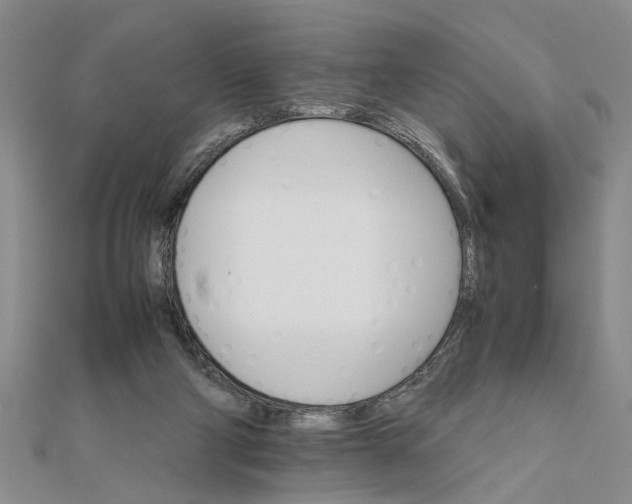 X0000111680114200908071433