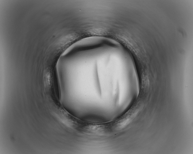 X0000111680117200908071433