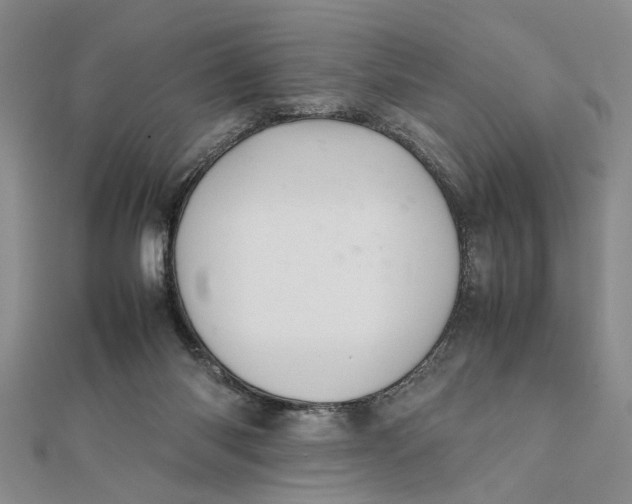 X0000111680118200908071433