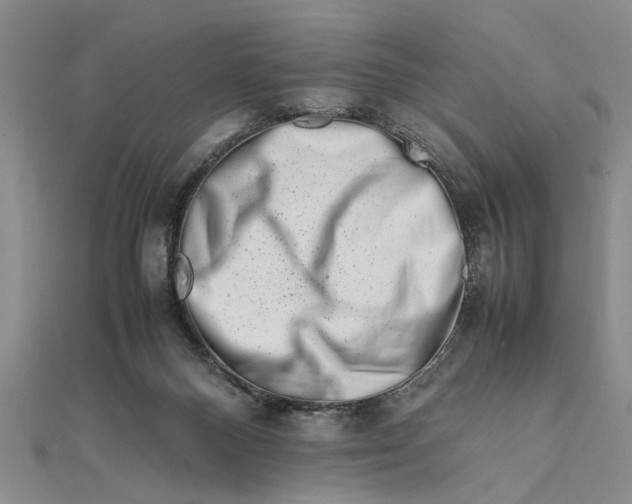 X0000111680120200908071432