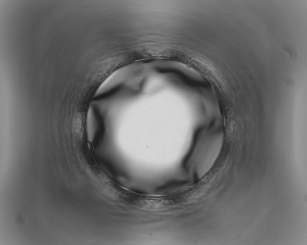 X0000111680121200908071432