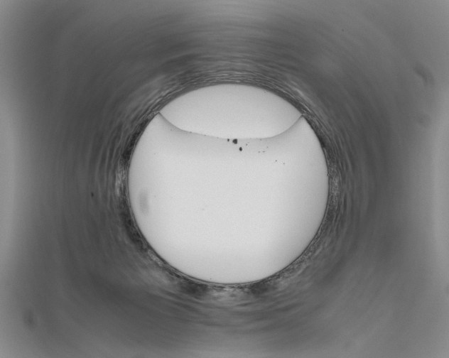 X0000111680125200908071432