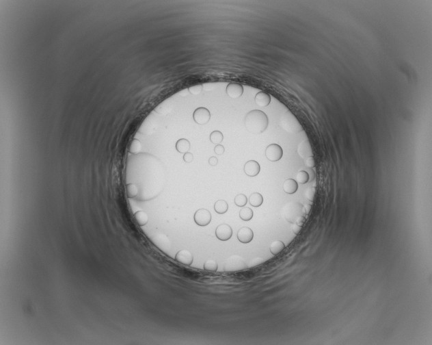 X0000111680127200908071432