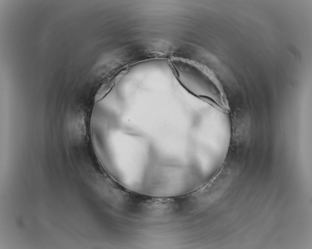 X0000111680128200908071432