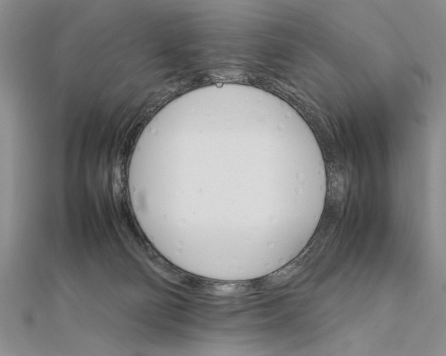 X0000111680130200908071432