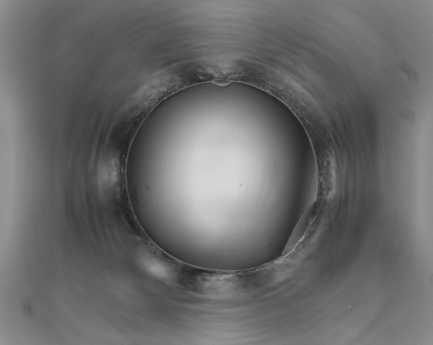 X0000111680132200908071432