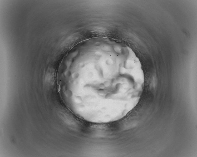 X0000111680133200908071432