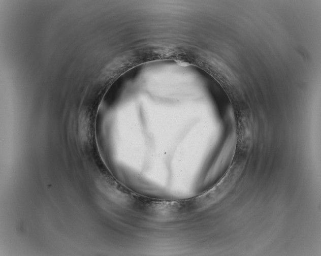 X0000111680136200908071432