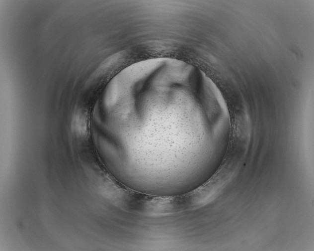 X0000111680138200908071432