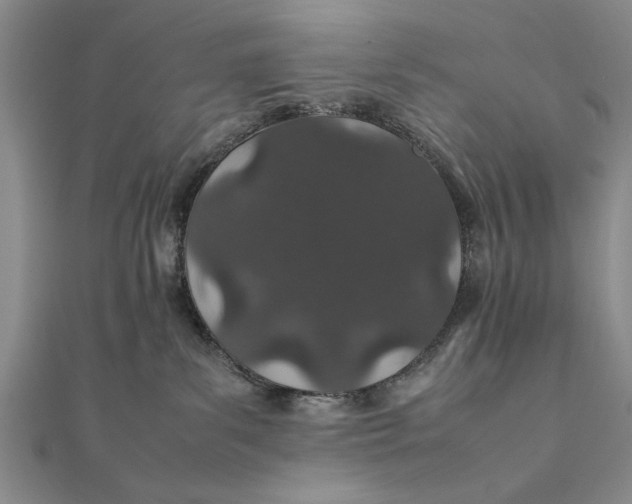 X0000111680139200908071432