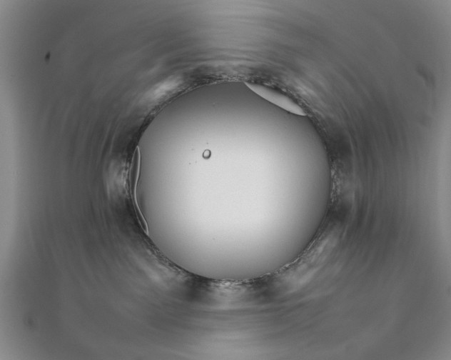 X0000111680141200908071432