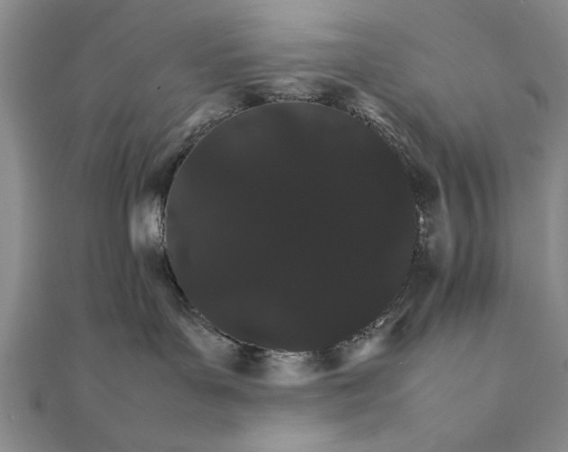 X0000111680143200908071432