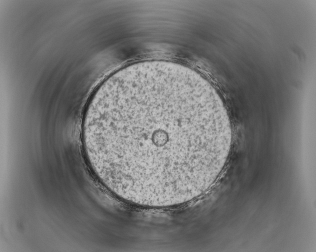 X0000111680146200908071432