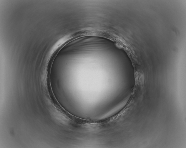 X0000111680150200908071432