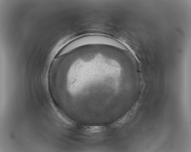 X0000111680151200908071432