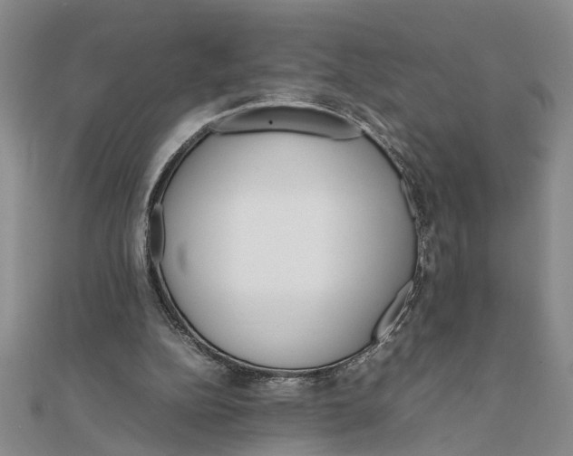 X0000111680152200908071432