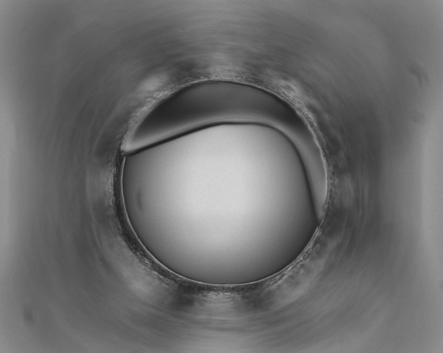 X0000111680154200908071432