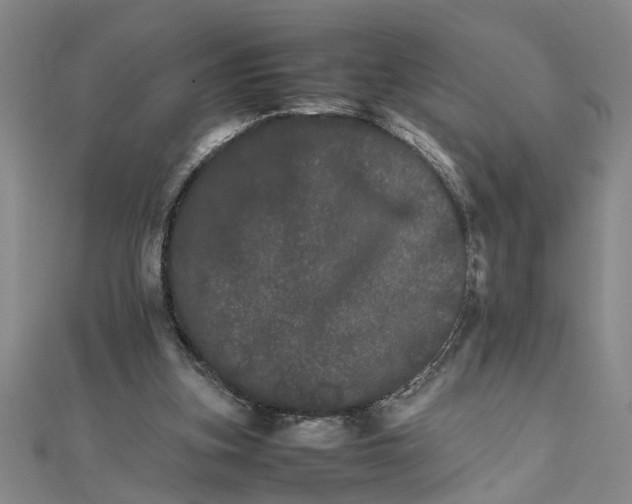 X0000111680155200908071432