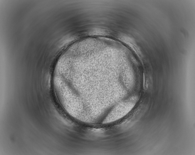 X0000111680157200908071432