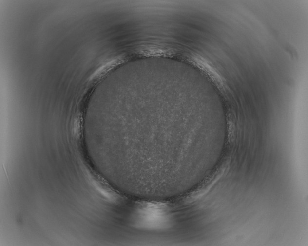 X0000111680165200908071432