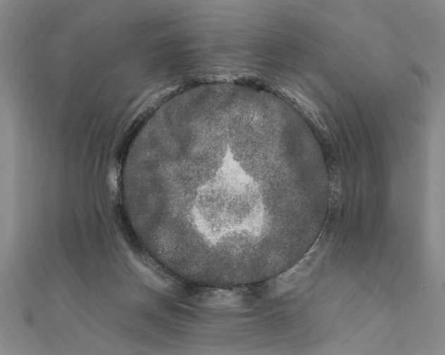 X0000111680166200908071432