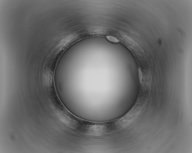 X0000111680168200908071432