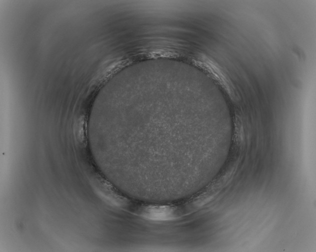 X0000111680169200908071432