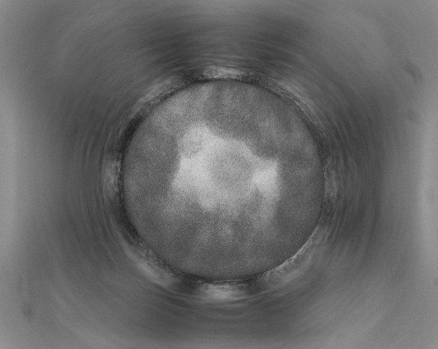 X0000111680171200908071432