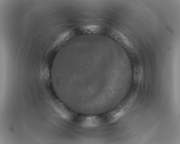 X0000111680173200908071432