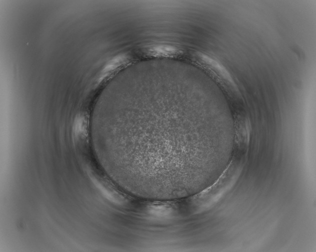 X0000111680175200908071432