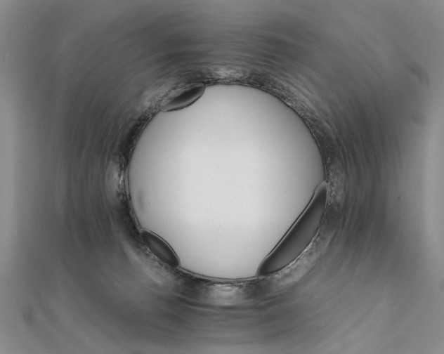 X0000111680176200908071432