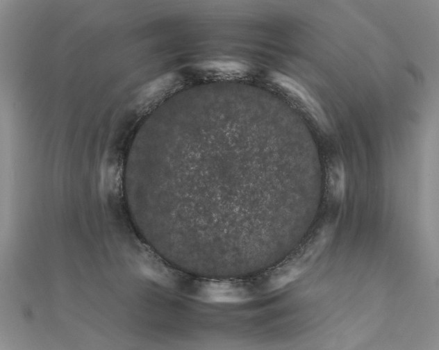 X0000111680177200908071432