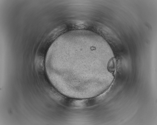 X0000111680178200908071432