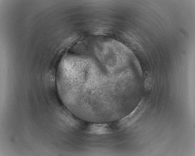 X0000111680179200908071432