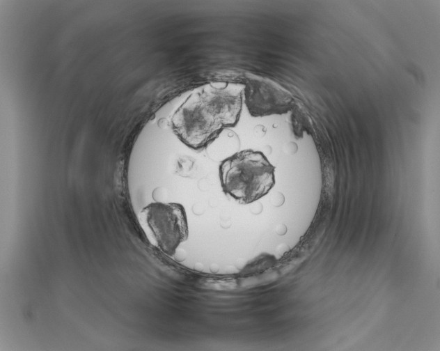 X0000111680181200908071432