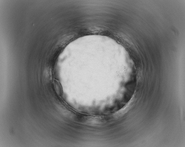 X0000111680182200908071432