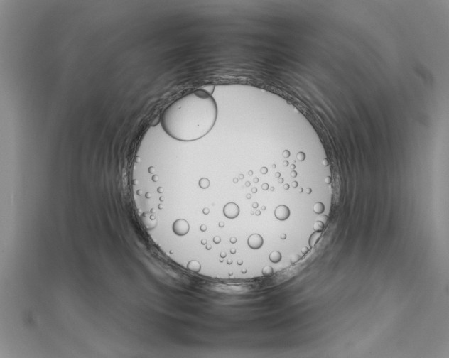 X0000111680183200908071432