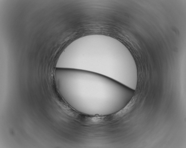 X0000111680184200908071432