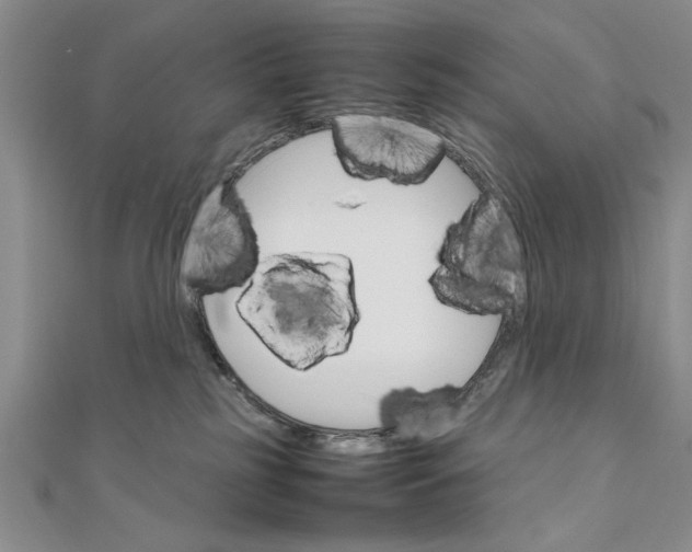 X0000111680185200908071432